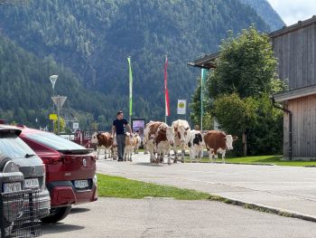 2025 09 13 13 32 54 393