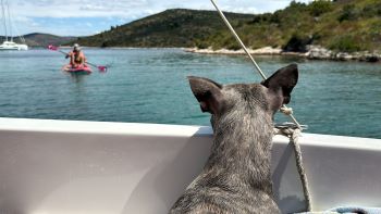 2024 07 03 11 33 51 116