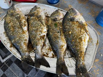 2024 07 04 18 02 10 392