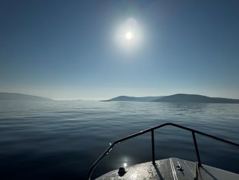 2024 07 12 07 40 26 106