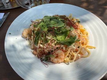 2025 08 15 12 27 42 264