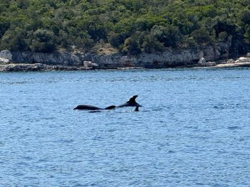 2025 08 18 13 44 06 067