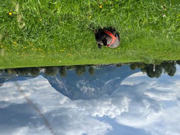 2022 08 13 13 53 17 982