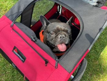 2022 08 14 15 47 07 585