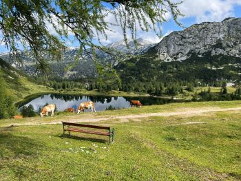 2022 08 16 10 51 49 242