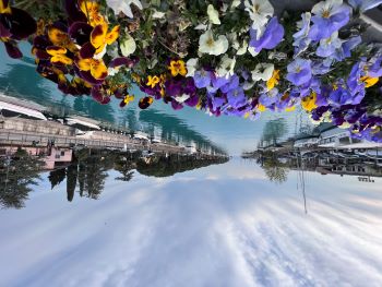 2023 04 06 18 14 49 016