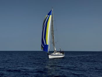 2024 06 12 14 23 52 668