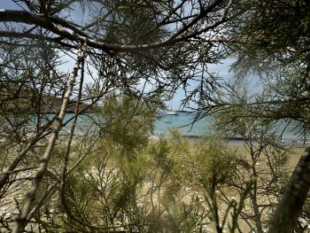 2024 06 13 11 30 41 517