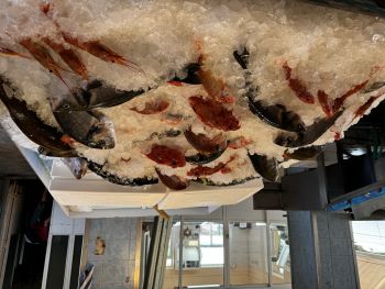 2024 06 14 17 16 54 588