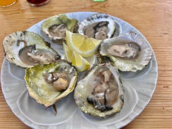 2023 06 21 14 52 41 537