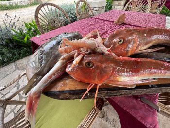 2023 06 28 16 16 34 788