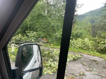 2022 08 18 18 50 18 000 2022 08 24T11 19 34.004