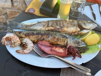 2022 08 20 19 15 56 619