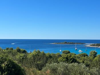 2022 08 21 10 07 44 870