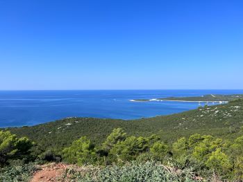 2023 08 18 09 42 26 534