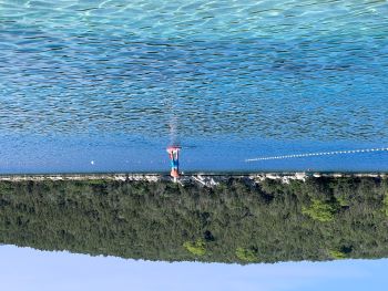 2023 08 19 09 49 10 729