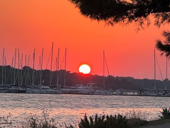 2023 08 21 19 48 14 670