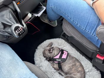 2023 10 31 12 14 03 197