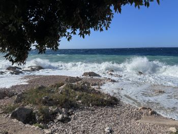 2023 11 03 11 59 30 957