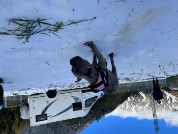 2023 11 04 12 34 40 164