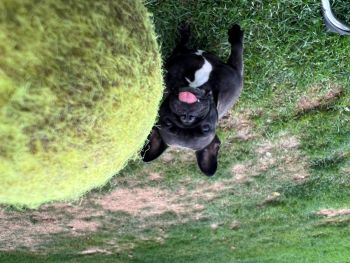 2022 10 20 16 28 31 253