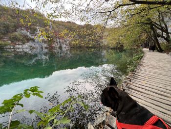 2022 10 21 09 39 00 576