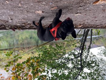 2022 10 21 10 01 04 386