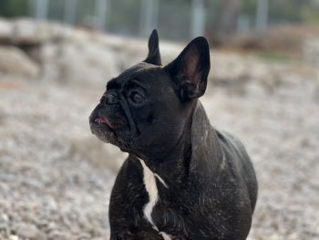 2022 10 21 15 01 57 847