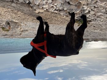 2022 10 22 15 06 40 182