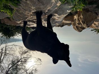 2022 10 24 09 11 30 008