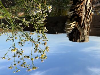 2024 10 26 16 20 40 567