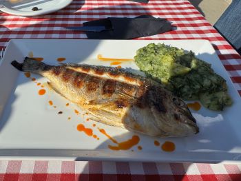 2024 10 27 13 20 50 272