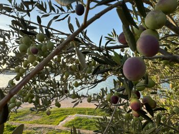 2024 10 27 16 08 26 838