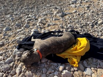 2024 10 29 14 44 37 829