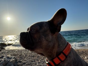 2024 10 29 15 20 56 555