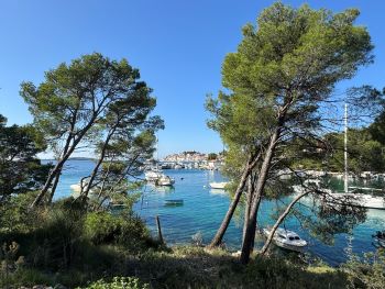 2024 10 30 11 19 28 661