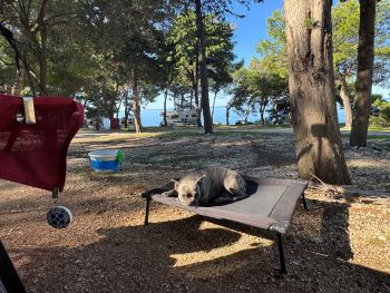 2024 10 31 10 49 49 380