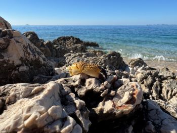 2024 10 31 11 59 51 970