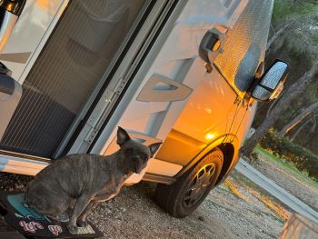 2024 10 31 16 37 44 089