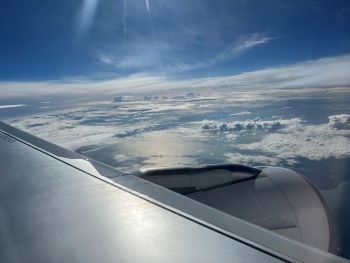 2022 06 11 07 59 06 313