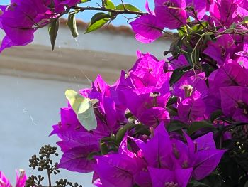 2022 06 14 09 23 26 381