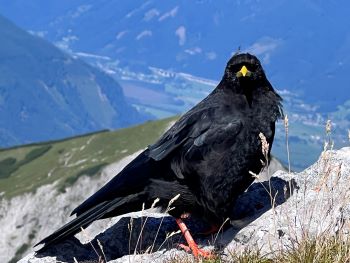 2023 08 11 10 56 09 855