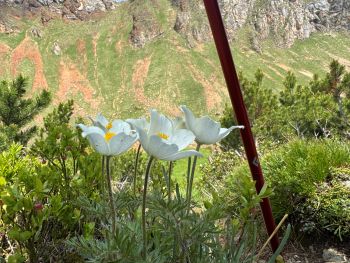 2025 06 09 11 00 06 079