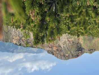 2025 06 09 11 13 08 253