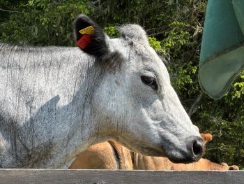 2025 06 09 14 41 35 689