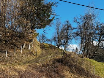 2024 02 18 13 16 02 805