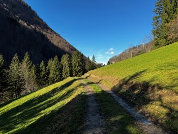 2024 02 18 14 13 37 481