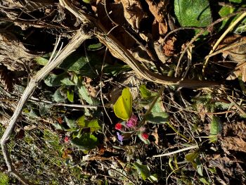 2024 02 18 14 41 12 439