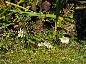 2024 02 18 14 59 59 090