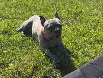 2025 04 30 09 32 10 183